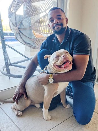 Adestramento de cão com Jonathan Normandia e american bully